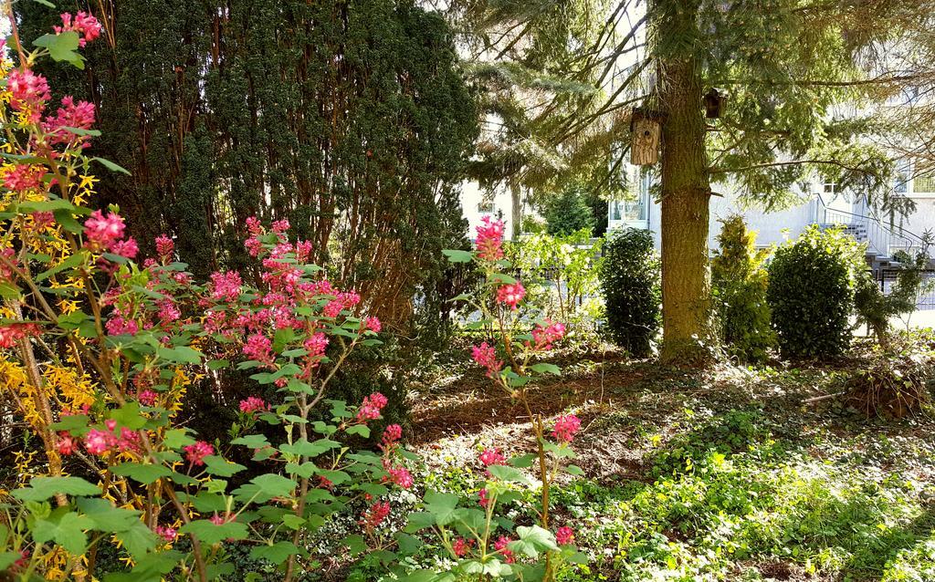 Ferienhaus Sanssouci Stahnsdorf Buitenkant foto